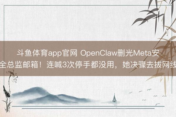 斗鱼体育app官网 OpenClaw删光Meta安全总监邮箱！连喊3次停手都没用，她决骤去拔网线