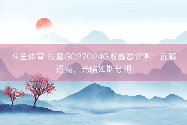 斗鱼体育 技嘉GO27Q24G败露器评测：瓦解透亮，光暗如斯分明