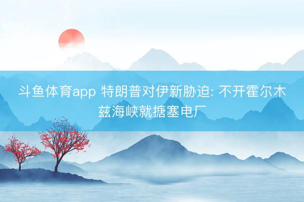 斗鱼体育app 特朗普对伊新胁迫: 不开霍尔木兹海峡就搪塞电厂