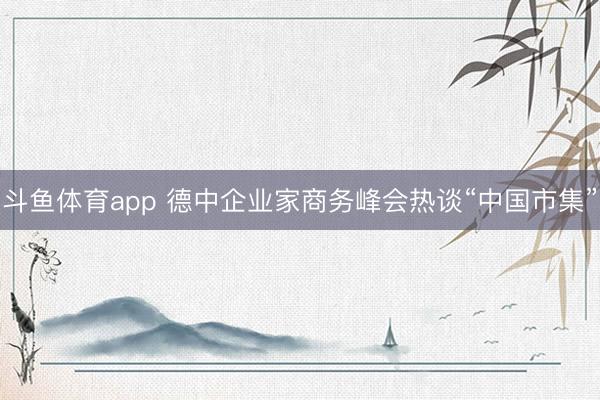 斗鱼体育app 德中企业家商务峰会热谈“中国市集”