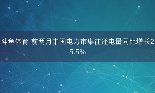 斗鱼体育 前两月中国电力市集往还电量同比增长25.5%