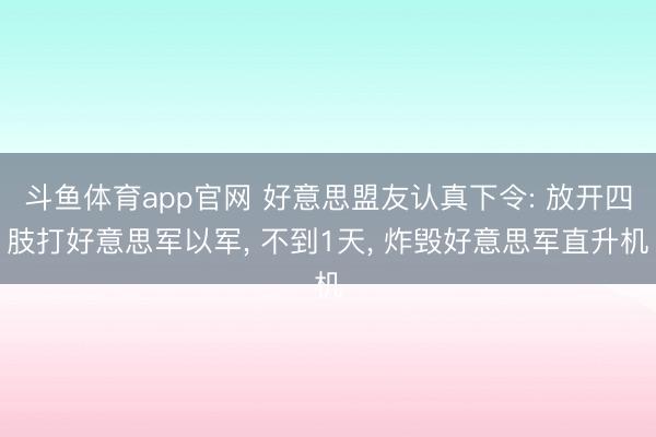 斗鱼体育app官网 好意思盟友认真下令: 放开四肢打好意思军以军, 不到1天, 炸毁好意思军直升机