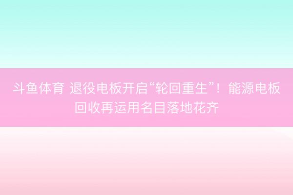 斗鱼体育 退役电板开启“轮回重生”！能源电板回收再运用名目落地花齐