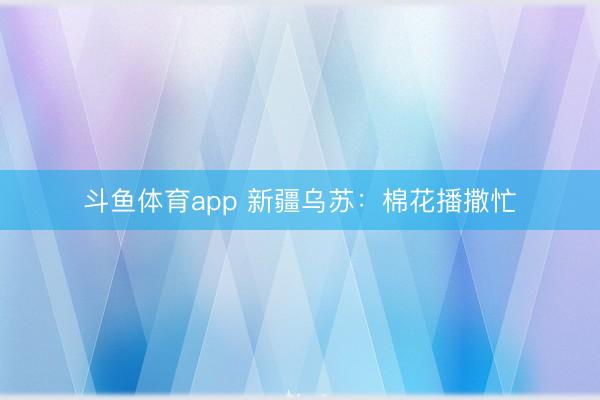 斗鱼体育app 新疆乌苏：棉花播撒忙