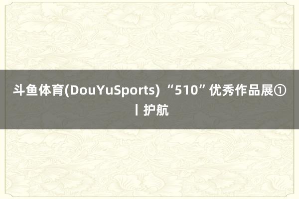 斗鱼体育(DouYuSports) “510”优秀作品展①丨护航