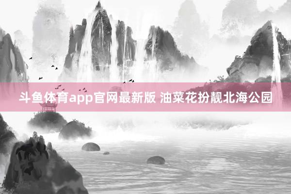 斗鱼体育app官网最新版 油菜花扮靓北海公园