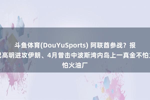 斗鱼体育(DouYuSports) 阿联酋参战？报谈称已高明进攻伊朗、4月曾击中波斯湾内岛上一真金不怕火油厂
