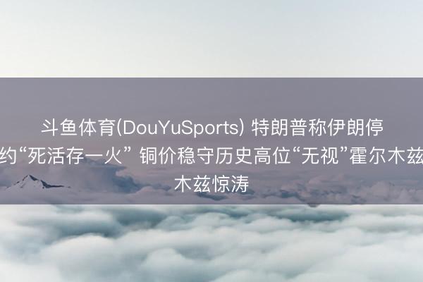 斗鱼体育(DouYuSports) 特朗普称伊朗停战契约“死活存一火” 铜价稳守历史高位“无视”霍尔木兹惊涛