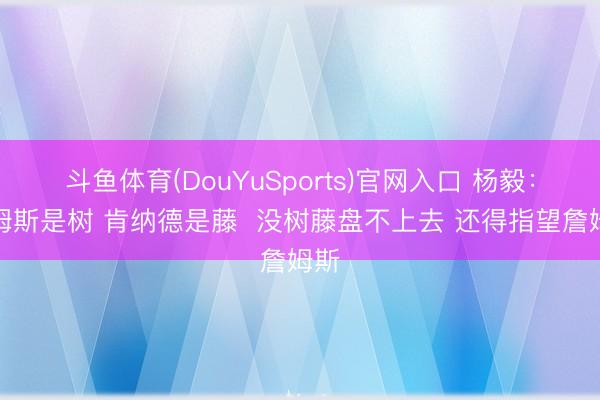 斗鱼体育(DouYuSports)官网入口 杨毅：詹姆斯是树 肯纳德是藤  没树藤盘不上去 还得指望詹姆斯