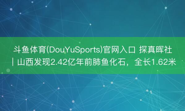 斗鱼体育(DouYuSports)官网入口 探真晖社｜山西发现2.42亿年前肺鱼化石，全长1.62米
