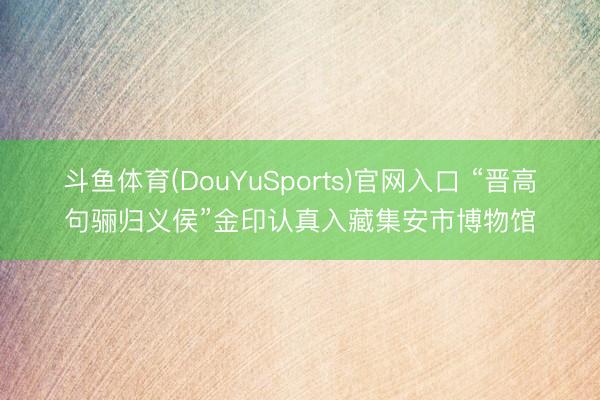 斗鱼体育(DouYuSports)官网入口 “晋高句骊归义侯”金印认真入藏集安市博物馆